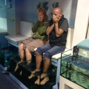 Chich thought the fishes might like the dead skin on his feet!